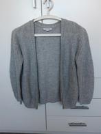 Vestje, Kinderen en Baby's, Kinderkleding | Maat 140, Ophalen of Verzenden, Gebruikt, Meisje, Trui of Vest