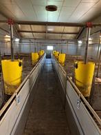 Kunststof hokinrichting vleesvarkens [442], Boekhorst Trading, Info@boekhorsttrading.com, Singel 16, Horssen