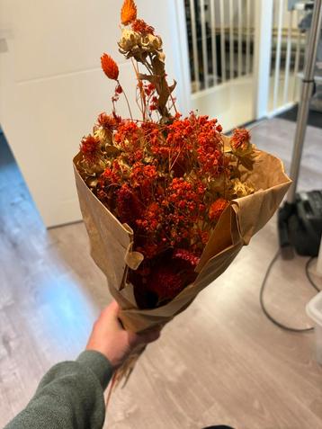 Prachtig Droogbloemen Boeket beschikbaar voor biedingen