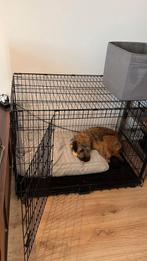 Honden bench, Ophalen, Zo goed als nieuw