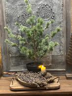 Larix bomen, Huis en Inrichting, Woonaccessoires | Kunstplanten en Kunstbloemen, Ophalen, Binnen, ., Nieuw