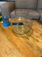 Glazen vaas, Huis en Inrichting, Woonaccessoires | Vazen, Ophalen