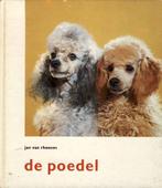 De poedel - Jan van Rheenen, Ophalen of Verzenden, Gelezen, Honden, Jan van Rheenen