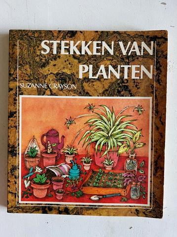 Suzanne Crayson: Stekken van planten beschikbaar voor biedingen