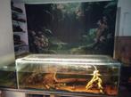 Gratis (voer en roof) vis gezocht voor 160x50x50cm aquarium, Dieren en Toebehoren, Vissen | Aquaria en Toebehoren, Ophalen, Zo goed als nieuw