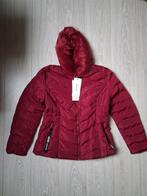 Nieuwe Winterjas wijnrood XL, Ophalen of Verzenden, Nieuw, Maat 46/48 (XL) of groter, Rood