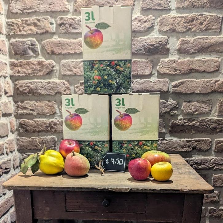 Appelsap - 100% biologisch van eigen onbespoten appels, Diversen, Levensmiddelen, Ophalen of Verzenden