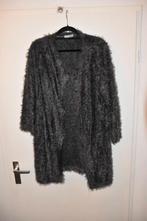 mooi nieuw grijs harig vest maat 48/50 Magna, Kleding | Dames, Truien en Vesten, Maat 46/48 (XL) of groter, Nieuw, Ophalen of Verzenden