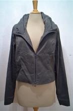 Mooi grijs top/jasje van Sarah Pacini! M/2, Kleding | Dames, Maat 38/40 (M), Verzenden, Zo goed als nieuw, Lange mouw