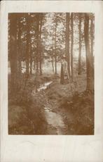 Vrouw in bos met beekje - D. Nijntjes Junior Zaandam, Ophalen of Verzenden, Voor 1920, Ongelopen, Noord-Holland