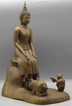 hais Boeddha beeld brons – Olifant & Aap Offer, Huis en Inrichting, Ophalen of Verzenden, Zo goed als nieuw