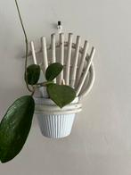 Vintage Rotan Bamboe Plantenhanger Bloempothouder + ADCO Pot, Ophalen of Verzenden, Huis en Inrichting