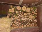 Brandhout / Stookhout - 1,25 kuub - Diverse houtsoorten, Minder dan 3 m³, Ophalen of Verzenden, Overige houtsoorten, Stammen