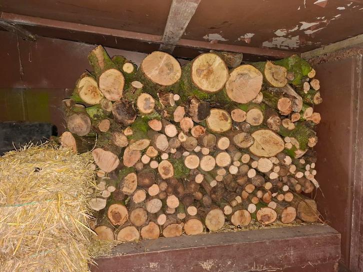 Brandhout / Stookhout - 1,25 kuub - Diverse houtsoorten, Tuin en Terras, Haardhout, Stammen, Overige houtsoorten, Minder dan 3 m³