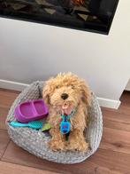 Moji interactieve hond, Ophalen, Zo goed als nieuw, Hond