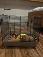 Hamsterkooi, Dieren en Toebehoren, Minder dan 60 cm, Kooi, Gebruikt, Minder dan 75 cm
