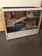 Hamsterkooi met veel toebehoren, Kooi, Minder dan 75 cm, Zo goed als nieuw, Hamster