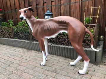 groot staande windhond hond beeld  beschikbaar voor biedingen