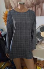 Leuke zachte grijze geruite trui van Janina maat 52, Kleding | Dames, Grote Maten, Trui of Vest, Ophalen of Verzenden, Grijs, Gedragen