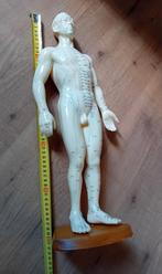 Demonstratie, studie attributen praktijk, Ophalen, Massagetafel
