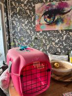 Katten trolley (of kleine hond), Dieren en Toebehoren, Ophalen, Gebruikt
