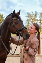 Weide maatje / recreatie ruin, Met stamboom, Ruin, Niet van toepassing, 160 tot 165 cm