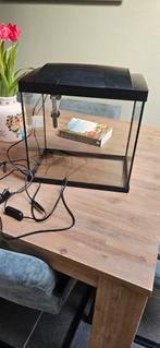 Aquarium 25 liter, Ophalen, Leeg aquarium