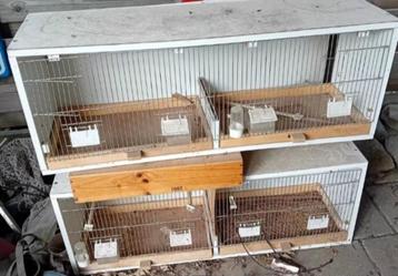 tentoonstellingskooi vogelkooi beschikbaar voor biedingen
