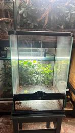 Exo terra terrarium 30x30x45 cm, Dieren en Toebehoren, Reptielen en Amfibieën | Toebehoren, Ophalen, Zo goed als nieuw, Terrarium of Paludarium
