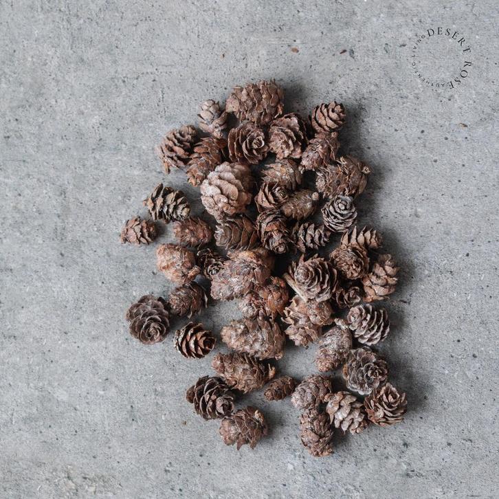 Kleine dennenappels 150gr, Diversen, Kerst, Nieuw, Ophalen of Verzenden