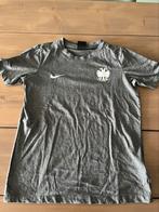 Vitesse shirt 134 140 grijs T-shirt Nike shirtjes, Kinderen en Baby's, Jongen of Meisje, Zo goed als nieuw, Shirt of Longsleeve