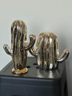 Cactussen det van 2, Ophalen, Zo goed als nieuw, Dier