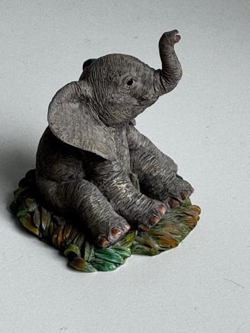 Baby olifantje beschikbaar voor biedingen