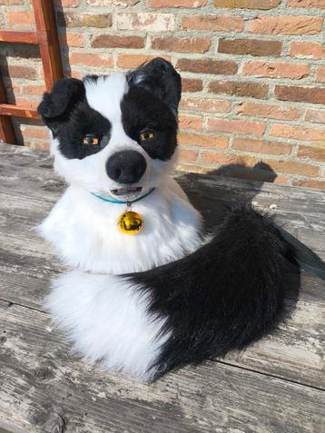 Realistic border collie head, tail, collar beschikbaar voor biedingen