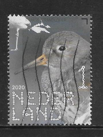 2020, Kustvogels, Paarse Strandloper [3857] (K0729) beschikbaar voor biedingen