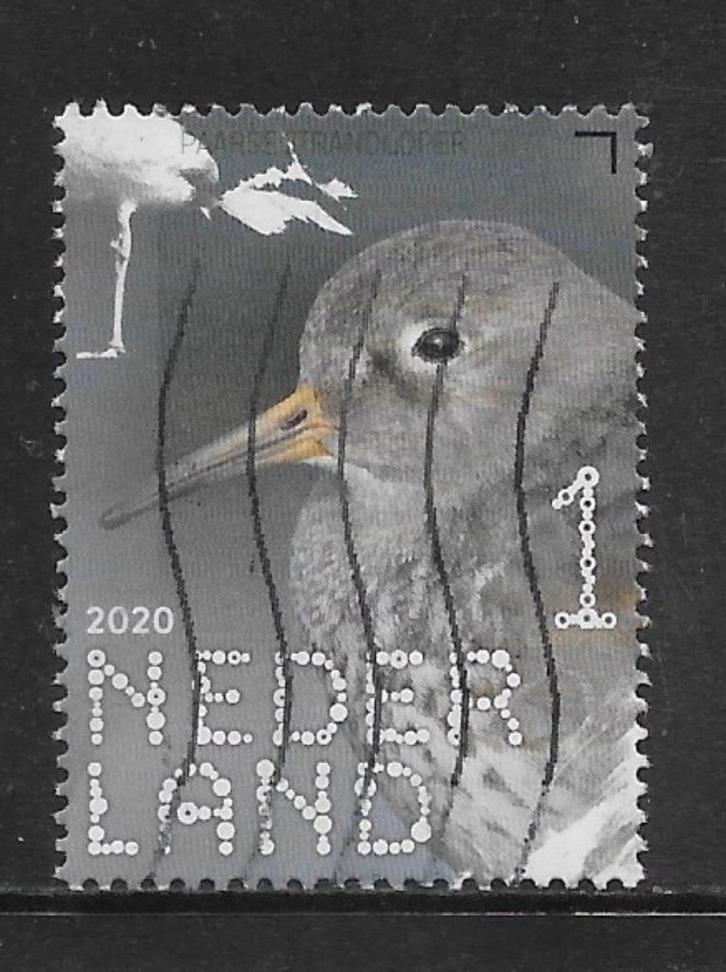 2020, Kustvogels, Paarse Strandloper [3857] (K0729), Postzegels en Munten, Postzegels | Nederland, Ophalen of Verzenden