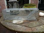 Rattenval / vangkooi voor ongedierte, Ophalen of Verzenden, Nieuw, Ongediertebestrijding