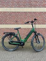 Forza Bologna Dames monotube Groen 53cm 2021, Overige merken, -, - 0
-, NL, -