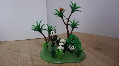 Playmobil dieren set 3241 panda familie dierentuin, Kinderen en Baby's, Speelgoed | Playmobil, Gebruikt, Complete set, Ophalen of Verzenden