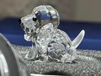 Swarovski hondje, Ophalen of Verzenden, Zo goed als nieuw, Figuurtje