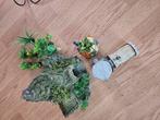 Aquarium ornamenten., Ophalen of Verzenden, Zo goed als nieuw, Plant(en), Steen of Hout