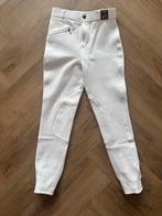 Epplejeck Witte Wedstrijd Broek, Dieren en Toebehoren, Paardrijkleding, Ophalen, Zo goed als nieuw, Dressuur, Onderkleding