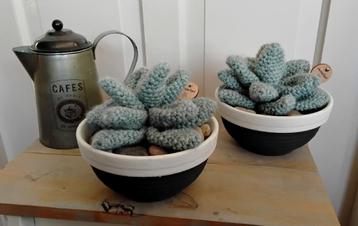 Succulenten in pot - gehaakt - erg apart  beschikbaar voor biedingen