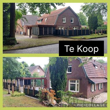 3 WONINGEN MET BEDRIJFSRUIMTEN TE KOOP beschikbaar voor biedingen