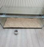 Glazen bak voor hamster hamsterscaping, Dieren en Toebehoren, Knaagdieren en Konijnen | Hokken en Kooien, 75 tot 110 cm, Ophalen