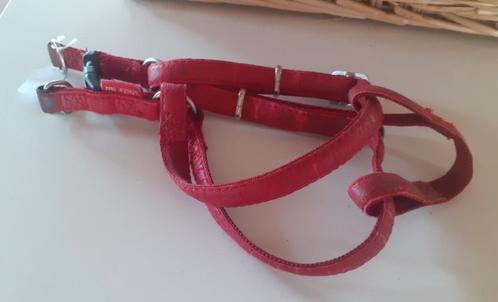 Hondentuig: Mac Leather 35-60 cm gebruikt, Dieren en Toebehoren, Hondenriemen, Gebruikt, Ophalen