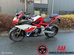 TRMOTOR Gp1, Bedrijf, Sport, TRMOTOR