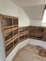 Duiven voorzethokjes 17 stuks, Dieren en Toebehoren, Vogels | Overige Vogels