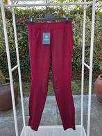Rijlegging Elegance, Dieren en Toebehoren, Paardrijkleding, Dressuur, Nieuw, Dames, Onderkleding