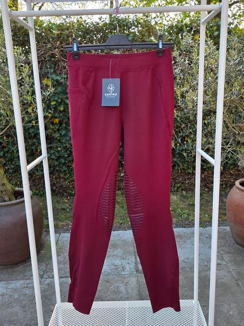 Rijlegging Elegance, Dieren en Toebehoren, Paardrijkleding, Nieuw, Dames, Onderkleding, Dressuur, Ophalen of Verzenden